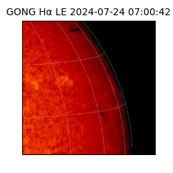 gong - 2024-07-24T07:00:42