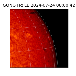 gong - 2024-07-24T08:00:42