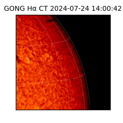 gong - 2024-07-24T14:00:42