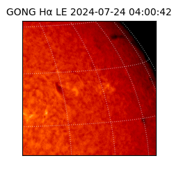 gong - 2024-07-24T04:00:42