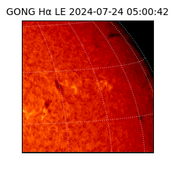 gong - 2024-07-24T05:00:42