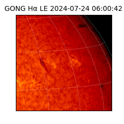 gong - 2024-07-24T06:00:42