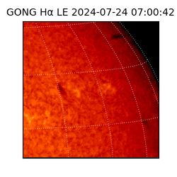 gong - 2024-07-24T07:00:42