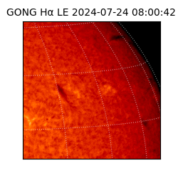 gong - 2024-07-24T08:00:42