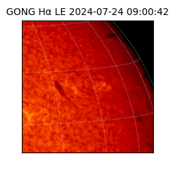 gong - 2024-07-24T09:00:42