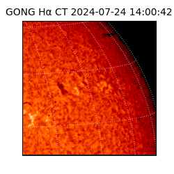 gong - 2024-07-24T14:00:42