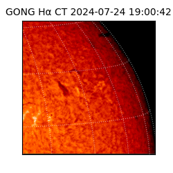 gong - 2024-07-24T19:00:42