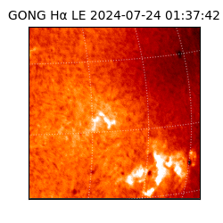 gong - 2024-07-24T01:37:42