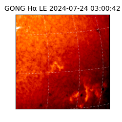 gong - 2024-07-24T03:00:42