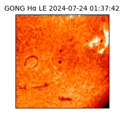 gong - 2024-07-24T01:37:42