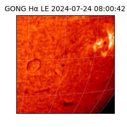 gong - 2024-07-24T08:00:42