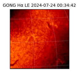 gong - 2024-07-24T00:34:42