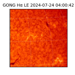 gong - 2024-07-24T04:00:42