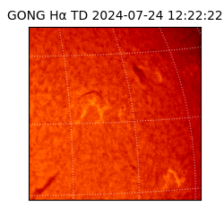 gong - 2024-07-24T12:22:22