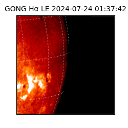 gong - 2024-07-24T01:37:42