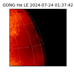 gong - 2024-07-24T01:37:42