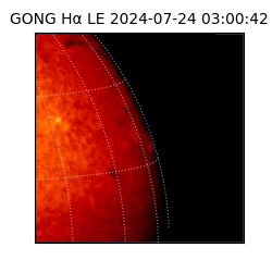 gong - 2024-07-24T03:00:42