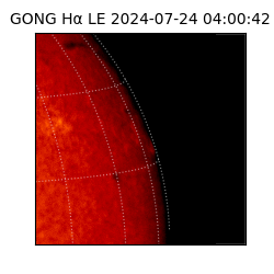 gong - 2024-07-24T04:00:42