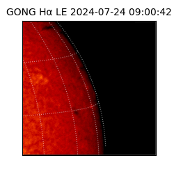 gong - 2024-07-24T09:00:42