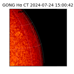 gong - 2024-07-24T15:00:42