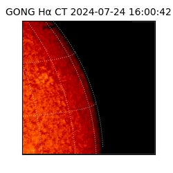 gong - 2024-07-24T16:00:42