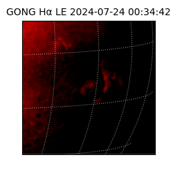 gong - 2024-07-24T00:34:42