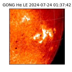 gong - 2024-07-24T01:37:42