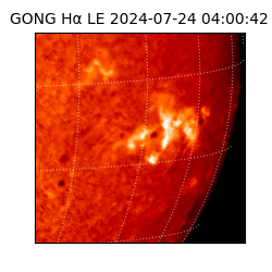 gong - 2024-07-24T04:00:42