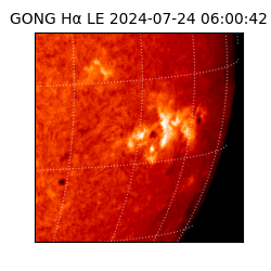 gong - 2024-07-24T06:00:42