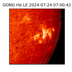 gong - 2024-07-24T07:00:42