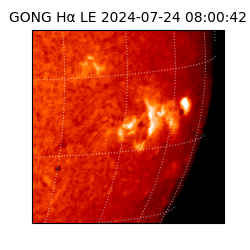 gong - 2024-07-24T08:00:42