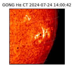 gong - 2024-07-24T14:00:42