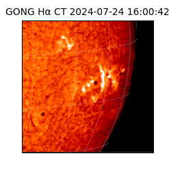 gong - 2024-07-24T16:00:42