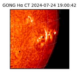 gong - 2024-07-24T19:00:42