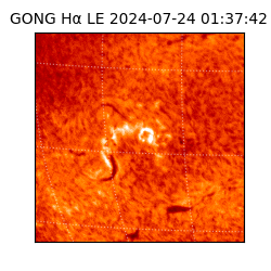 gong - 2024-07-24T01:37:42