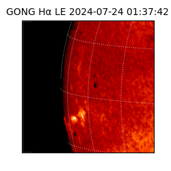 gong - 2024-07-24T01:37:42