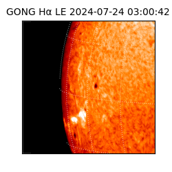 gong - 2024-07-24T03:00:42