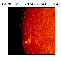 gong - 2024-07-24T05:00:42