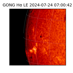 gong - 2024-07-24T07:00:42