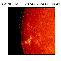 gong - 2024-07-24T08:00:42