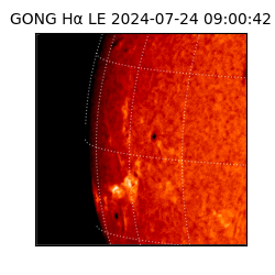 gong - 2024-07-24T09:00:42