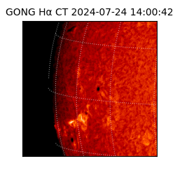 gong - 2024-07-24T14:00:42