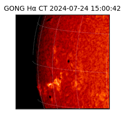 gong - 2024-07-24T15:00:42