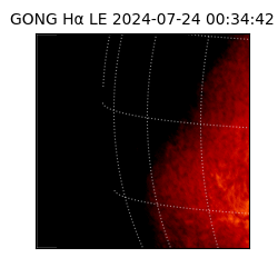 gong - 2024-07-24T00:34:42