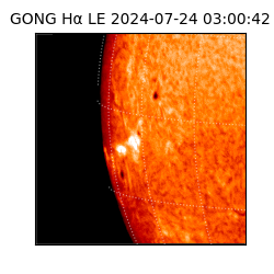 gong - 2024-07-24T03:00:42