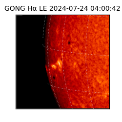 gong - 2024-07-24T04:00:42