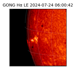 gong - 2024-07-24T06:00:42