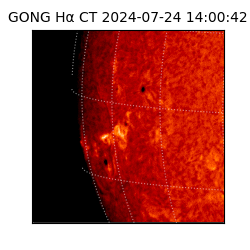 gong - 2024-07-24T14:00:42