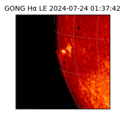 gong - 2024-07-24T01:37:42