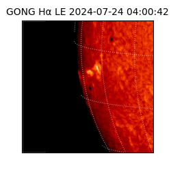 gong - 2024-07-24T04:00:42